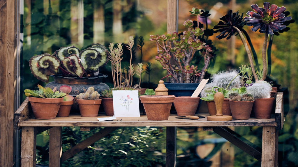 Potting bench with UK made gardening tools